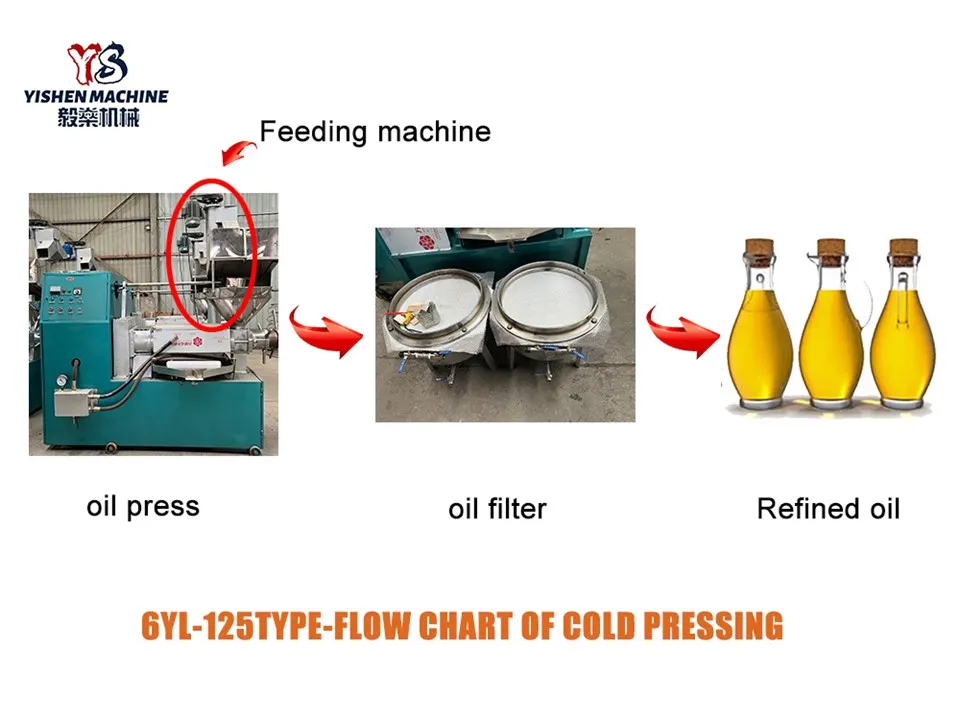 Oil Extraction Machine